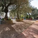 Il Pintello - Lo Scricciolo
